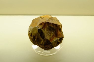 Pacitan, Endonezya - 2 Kasım 2024: Tarih öncesi bir insan kafatası, Pacitan, Endonezya 'daki Müze Şarkı Terusu' nda sergilendi.