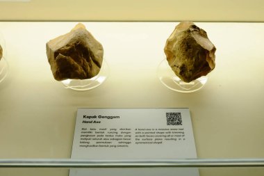 Pacitan, Endonezya - 2 Kasım 2024: Tarih öncesi bir insan kafatası, Pacitan, Endonezya 'daki Müze Şarkı Terusu' nda sergilendi.