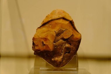 Pacitan, Endonezya - 2 Kasım 2024: Tarih öncesi bir insan kafatası, Pacitan, Endonezya 'daki Müze Şarkı Terusu' nda sergilendi.