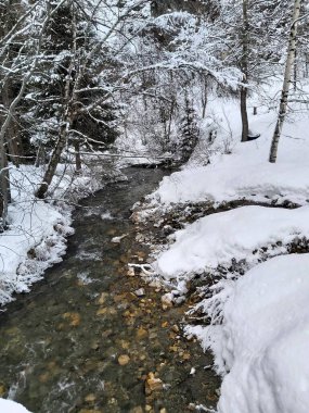 Karla kaplı orman manzarası ve bir nehir.
