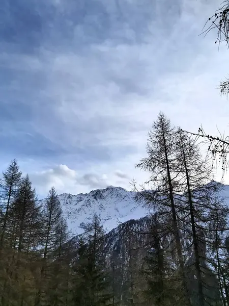Karlı güzel dağ manzarası