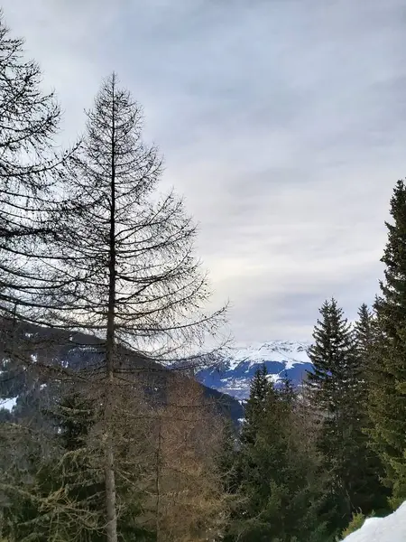 Dağların güzel manzarası