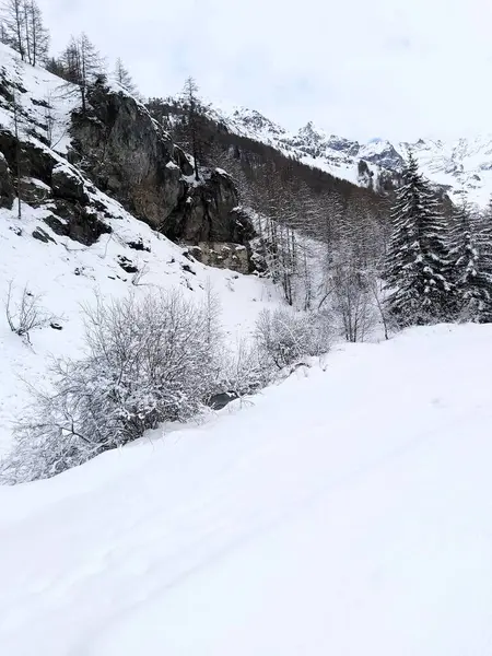 Arkasında karlı bir dağ yolu olan güzel bir dağ yolu manzarası.
