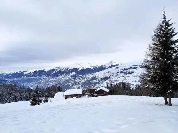 Karla kaplı ağaçlarla kaplı kış manzarası