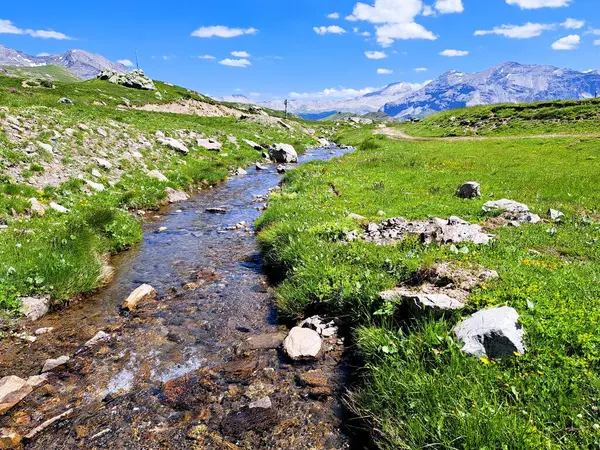 Mavi gökyüzü ve dağlarla kaplı dağ manzarası