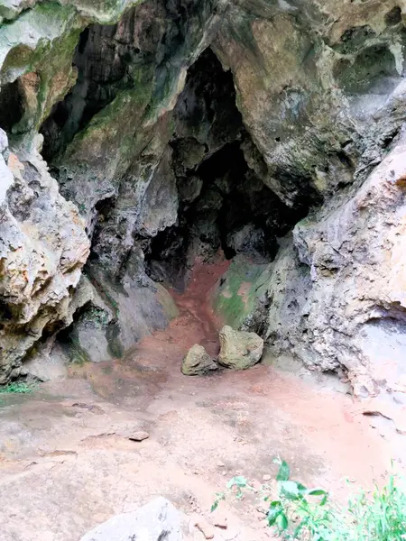 Parktaki mağaranın güzel manzarası