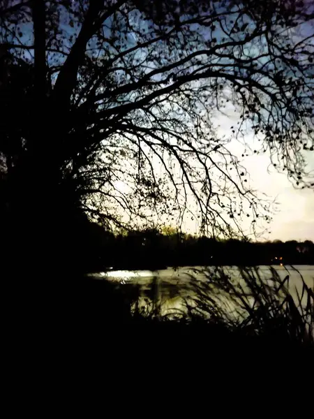 Güzel bir park manzarası