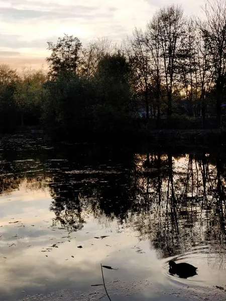 Göldeki ağaçların yansımasıyla güzel bir manzara.