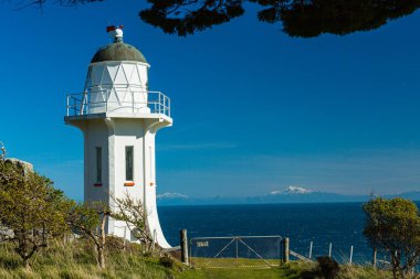 Bearinghead Deniz Feneri Wellington, Yeni Zelanda 'daki Doğu Liman Bölgesel Parkı