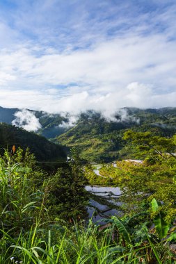 Banaue, Filipinler 'de teraslı pirinç tarlaları