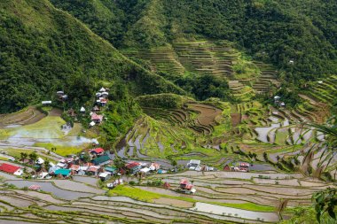 Batad, Cordirera, Filipinler 'de pirinç tarlaları ve yerleşim yerleri.