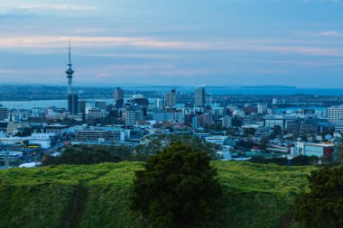Auckland, Yeni Zelanda 'daki Eden Dağı' ndan Gökyüzü Kulesi ve şehir manzarası