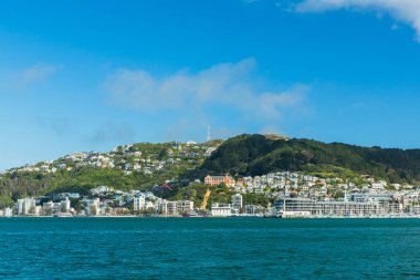 Wellington, Yeni Zelanda 'da Liman Manzarası ve Victoria Dağı 