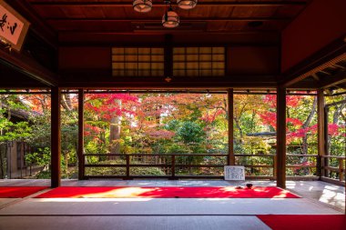 Japonya, Kyoto, Daihoin 'deki çay salonundan sonbahar yaprakları görünüyor.
