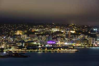 Wellington Limanı 'nın Wellington' daki Yeni Zelanda 'nın başkenti Wellington' daki Oriental Bay tepesinden gece görüşü