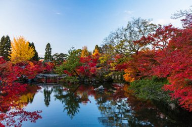 Eikan-do 'nun Hojo Pond' u ve Japonya, Kyoto 'da sonbahar yaprakları