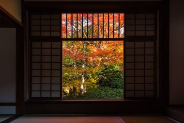 Genkoan, Kyoto, Japonya 'nın Sanrı Penceresinden sonbahar yaprakları görünüyor