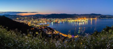 Şehrin gece manzarası ve Wellington, Yeni Zelanda 'daki Victoria Dağı' ndan liman