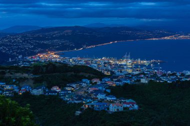 Brooklyn, Wellington, Yeni Zelanda 'nın yel değirmeni tepesinden gece manzarası