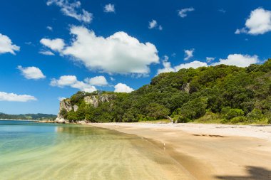 Yeni Zelanda 'daki Coromandel Yarımadası' ndaki Lonely Bay plajları.