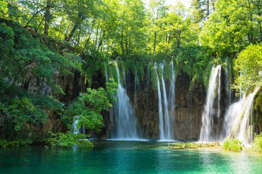 Hırvatistan 'ın Plitvice Gölleri Ulusal Parkı' nda ilkel ormanlar ve düşen şelaleler