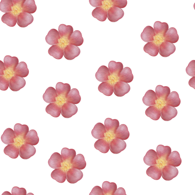 Kırmızı çiçekli botanik desenli. Tekstil baskısı, duvar kağıdı, ambalaj kağıdı, gerdan, kart, mektup, düğün, tatil