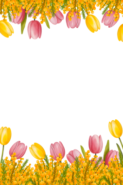 Çiçek sınırları tebrik kartları, davetiyeler, düğün, doğum günü, bebek partisi, mektuplar ve kartpostallar için. Sarı çiçekli çerçeve ve izole edilmiş arka planda pembe laleler.. 
