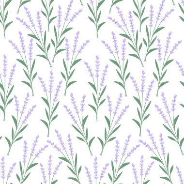 Yumuşak mor çiçekleri olan kusursuz lavanta deseni ve kumaş, ambalaj, kırtasiye, duvar kağıdı için beyaz arka planda yeşil yapraklar.