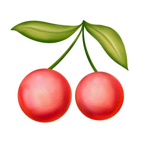 İki sulu kiraz ve yeşil yapraklı suluboya resim, el çizimi. Yaz tasarımı, etiketler, dijital çıkartmalar veya ambalajlar, parti dekorasyonu için mükemmel.