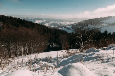 Sakin bir kış manzarasında karla kaplı tepeler ve ağaçlar sisle örtülü uzak dağlar öğle vakti ışığında sakin ve soğuk bir atmosferi yansıtıyor..