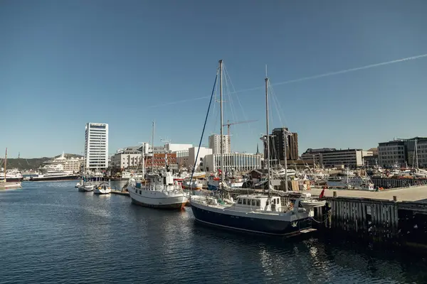 Norveç, Bodo 'da yelkenliler limana demirlediler. Güneşli bir günde canlı şehir siluetini ve açık mavi gökyüzünü yansıtıyorlar. Deniz faaliyetleri ve turizm için mükemmel..