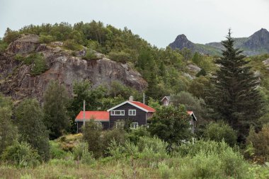 Büyüleyici bir ahşap kulübe, doğa severler için popüler bir yer olan büyüleyici Lofoten Adaları 'nda canlı yeşillikler ve görkemli tepelerle çevrilidir..