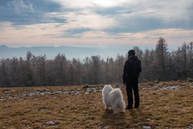 Gün batımında dağlarda bir adamla Samoyed köpeği. Evcil bir hayvanla seyahat et. Yüksek kalite fotoğraf