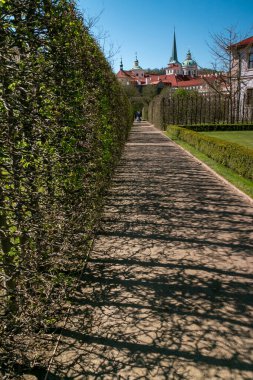 Çek Cumhuriyeti, Prag, parkta asfalt yol, gölgeli ağaçlar, ritmik desenler, arka planda mavi gökyüzü olan binalar. Yüksek kalite fotoğraf