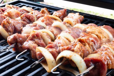 Taze et ızgara için hazır. Bahar barbeküsü. Yüksek kalite fotoğraf