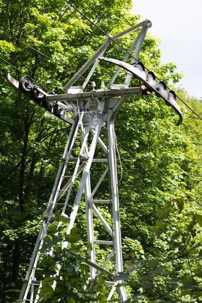 Yüksek bir metal elektrik hattı kulesi yemyeşil ağaçların arasında duruyor. Yapı elektrik iletimi için tasarlandı, modern mühendislik sergileniyor..