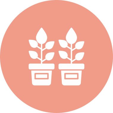 Simge Sanatı Bitkileri