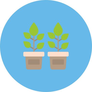 Simge Sanatı Bitkileri