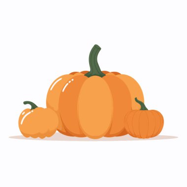 Pumpkins, Butternut Squash ve Su Kabaklarıyla Canlı Sonbahar Sahnesi