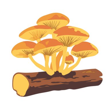  Düşen bir kütükte büyüyen bir mantarın yakın çekimi. vektör