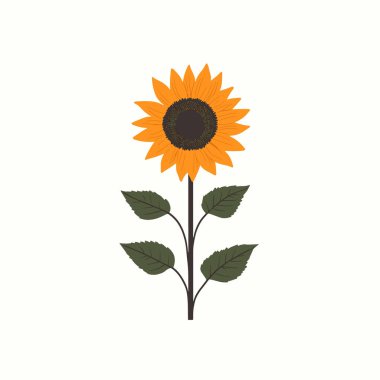  Minimum düz ayçiçeği yaz güneşi düz vektöründe çiçek açar