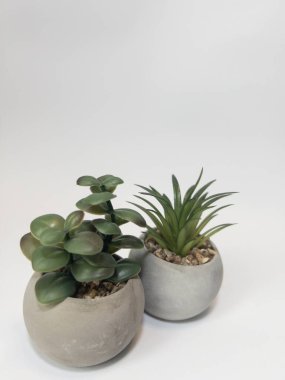 Beyaz zemin üzerinde yapay bitkiler