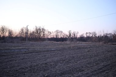 Kahverengi toprağı olan boş bir alan batan günbatımına doğru uzanıyor. Çırılçıplak ağaçlar, alacakaranlık altındaki arka planda. Gün ağarırken sakin manzara, akşamın huzur veren güzelliğini yakalar.
