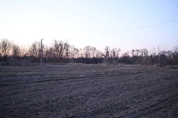 Yumuşak bir alacakaranlık gökyüzünün altında kırsal bir alan uzanır. Çorak ağaçlar ufuk çizgisi boyunca uzanır. Toprak da yeni sürme izleri gösterir. Huzurlu bir atmosfer yaratır..