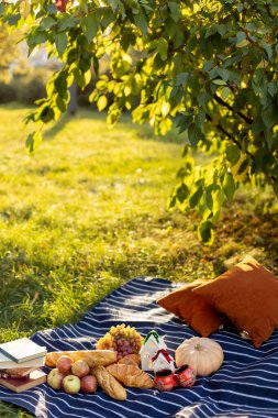 Rahatlatıcı bir piknik, bir ağacın altında mavi ve beyaz çizgili bir battaniyeye açılır. Çeşitli meyveler, hamur işleri ve dekoratif eşyalar rahat bir ortam yaratır..