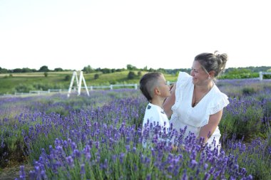 Canlı bir lavanta tarlasında, bir anne genç oğluyla neşeli bir anı paylaşır. Çiçeklerin arasında birbirlerine gülümserler, birlikte sakin bir yaz akşamının tadını çıkarırlar..