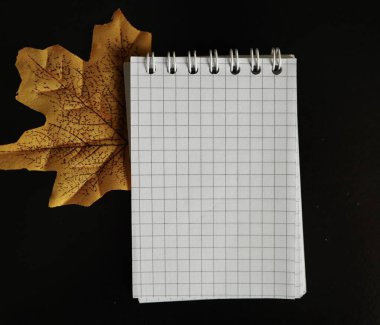 Koyu bir arka planda parlak sarı bir sonbahar yaprağının yanına yerleştirilmiş bir not defteri, sonbahar ilhamının ortasında not almak veya çizmek için bir an önerir..