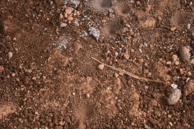 High-resolution close-up of a textured surface of brown dirt and gravel. clipart