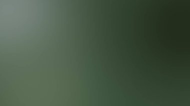 Bilge ve Zeytinin Gölgelerinde Organik Konturlar