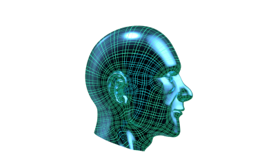 3D Human Male Head